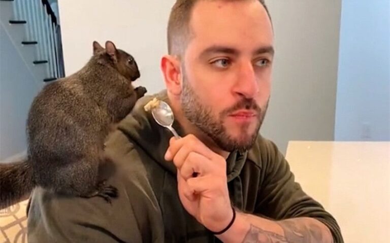squirrel daddy onlyfans